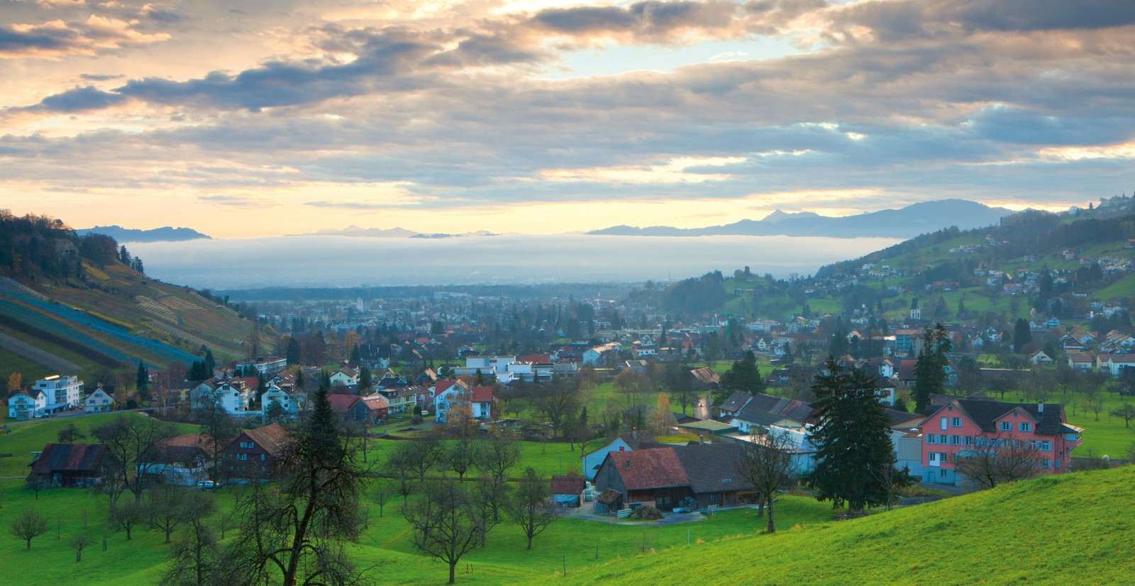 Gemeinde Thal – Nebelmeer.jpg